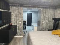 Deluxe One-Bedroom Apartment