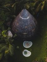 Snail
