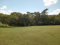 The Modern Cabin - B&B Spanish Lookout