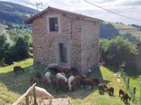 Gîte rénové avec terrasse et animaux acceptés à Saint-Chamond - FR-1-496-324 - B&B Saint-Chamond
