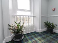 Apartments at The Black - B&B Wark