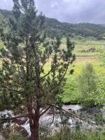 PORT DRET - Peu del Riu HUT 8141 - Vall d'Incles - B&B Incles