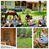 Guest house Lailashi - Ferienwohnung Surmushi