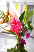 Studio du levant - B&B Le Gosier