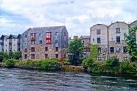 Tropical Vibes in the City of Tribes - Chambres d’hôtes Galway