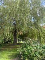 Logement atypique - Ferienwohnung
