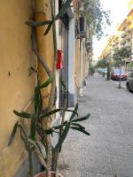 Superior Suite & Apartment Catania - B&B Catania