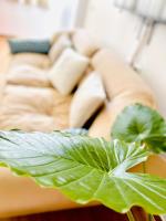 Mia Luxury apartments - B&B Golem