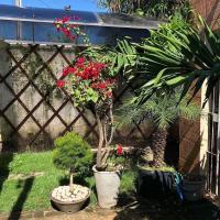 Olinda Home - B&B