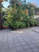 La casa delle Camelie - Ferienwohnung Meta di Sorrento