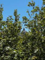 Doria home-Saint Peter's View - B&B Roma