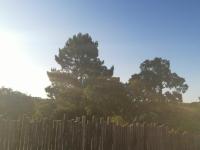 Cabanas de Melides - B&B