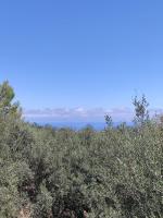 Villa degli Ulivi - Ferienwohnung Sciconi