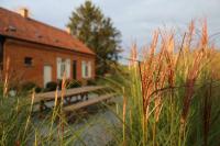 O-Lit - Bed and Breakfast Paal