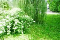 Ferienwohnung im Grünen - Ferienwohnung Gottenheim