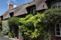 Little Thatch Cottage - Cerne Abbas, Dorset - Chambres d’hôtes