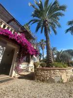 Les palmiers - Bed and Breakfast