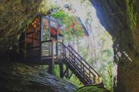Incrível experiência em meio à Natureza - Cabana | Gonzaga Stays - B&B São Francisco do Sul