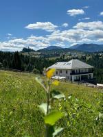 Tihuța Village - Ferienwohnung Piatra Fântânele