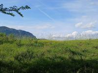 Camping insolite pleine nature - Chambres d’hôtes