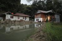 Mama Tia Family Homestay - Chambres d’hôtes Rantepao
