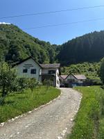 Pensiunea Valea Pinului - B&B Râu Sadului