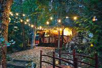 Căsuța din pădure - Bed and Breakfast Vlădeşti