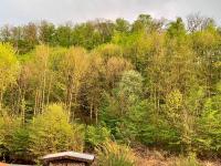 Ferienwohnung Oderblick - Wasser und Wald direkt vor der Tür - E-Bike und Motorrad willkommen - bike friendly - Chambres d'hôtes Bad Lauterberg im Harz