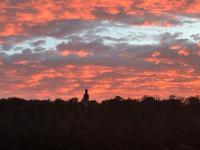 Blick zur Bergkirche - B&B