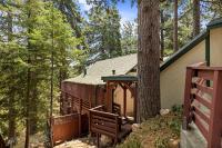 Modern Cabin Near Lakes with Forest Views - B&B