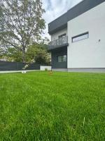 Casa de vacanta Cris 2 - Ferienwohnung Băile Olăneşti