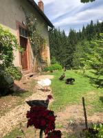 A l'orée de soi - Maison forestière de la Soie - Eco gîte, chambres d'hôtes, camping au pied des Vosges - B&B