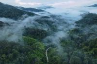 Yazama Homestay ยาซาม่า โฮมสเตย์ - B&B Ban Pang Huai Kaeng