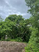 soha bungalow-escape the city - B&B