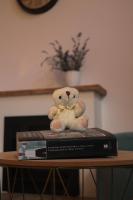 Zvuk tišine Ostrog - B&B Nikšić