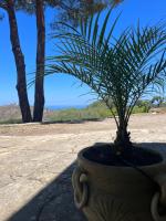 Casa Rapputi - B&B Lascari