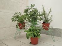 Case Vacanza Dimo Dimira - SALENTO & RELAX - Ferienwohnung Torre Chianca