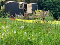 annes hatch hut - Ferienwohnung Shottermill