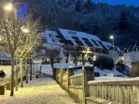Appartements bien situés avec terrasse - Ferienwohnung Le Mont-Dore