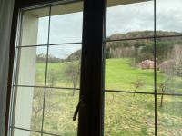 Apartmán Petra Malá Skála - B&B Malá Skála