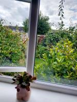 The Garden Room - Ferienwohnung