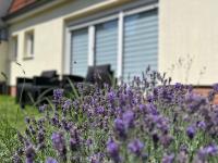 Casa Edelsita - Bed and Breakfast