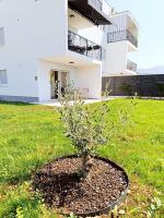 Apartman Zelena Oaza - Ferienwohnung Kutleše