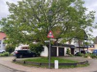 Fewo-zum-Nussbaum - Mosel 1 - Ferienwohnung Schweich