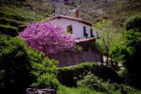 Riojania Traditio - B&B