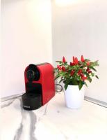 Libra Light - B&B Udine