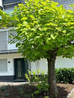 Ferienwohnung Flussufer No.12 - B&B
