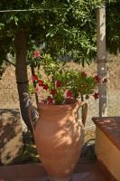 Donna Pulina Holidays - B&B Pollina