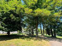 Le Chateaubriand - Calme, balcon et parking - Chambres d’hôtes Châtenay-Malabry