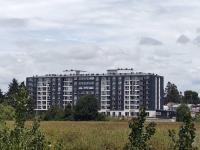 Descanso en Isla teja - B&B Valdivia